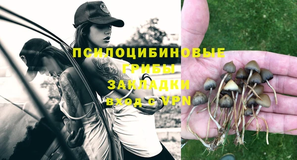 индика Алексеевка