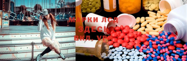 индика Алексеевка